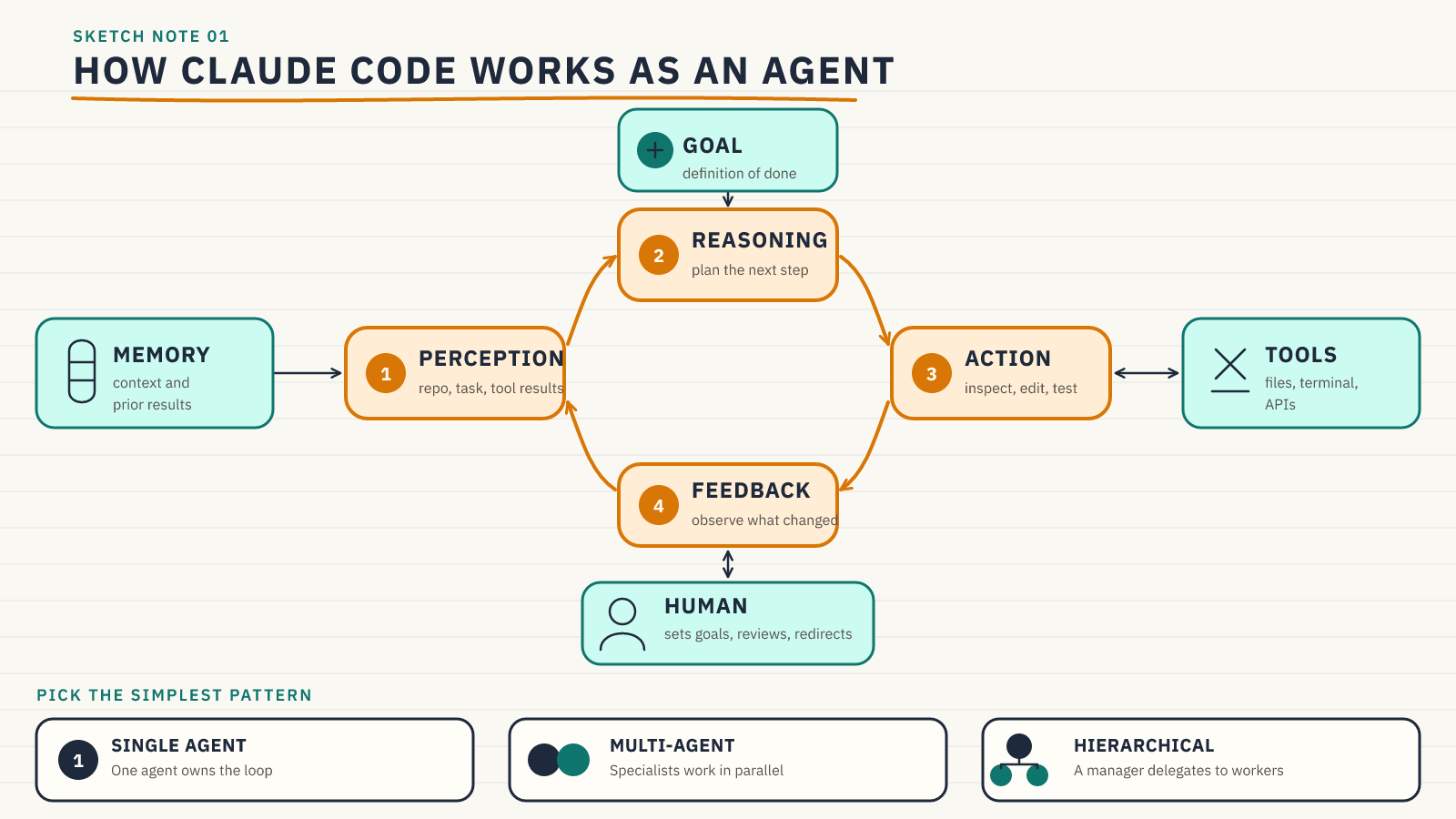 Sketchnote of the Claude Code perception, reasoning, action, and feedback loop with its goal, tools, memory, human collaborator, and common agent patterns